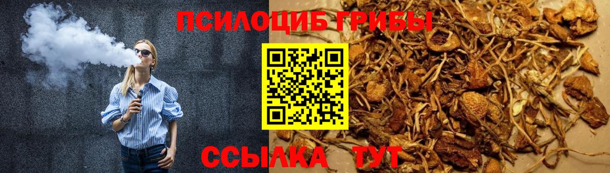 Псилоцибиновые грибы Magic Shrooms  Псилоцибиновые грибы MAGIC MUSHROOMS  Красноярск  Вход с VPN 
