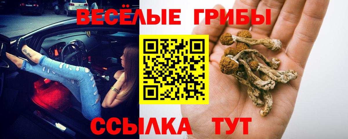 Псилоцибиновые грибы мухоморы Красноярск