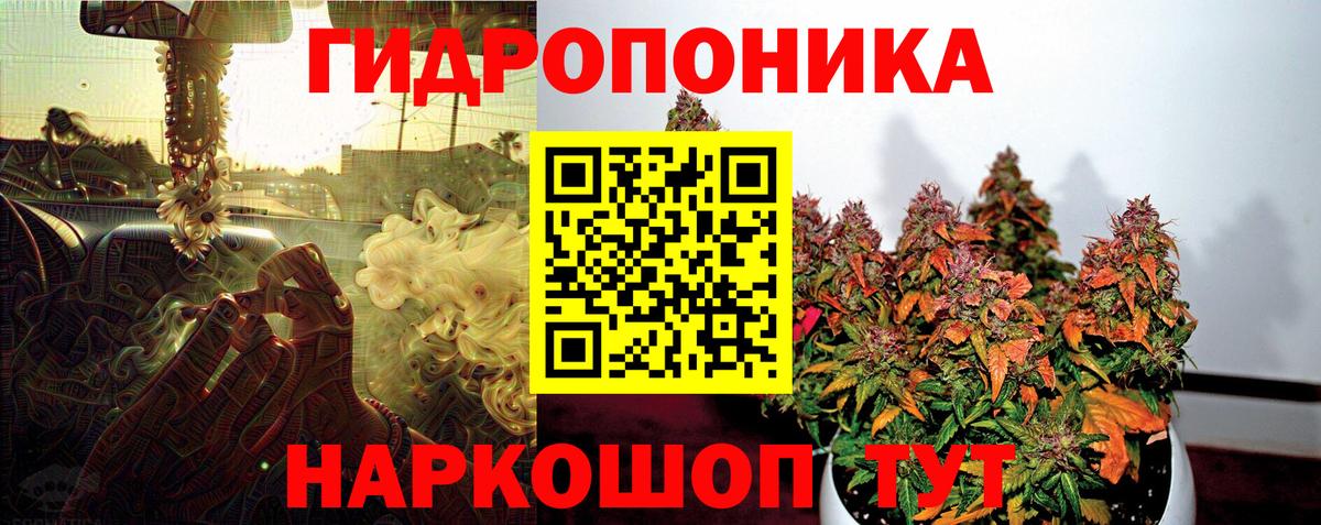 Шишки марихуана сатива Красноярск